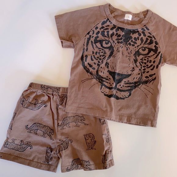 LIKE NEW - Picture 1 of 3